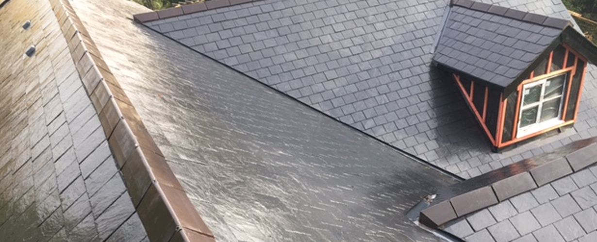 SDS Roofing Services